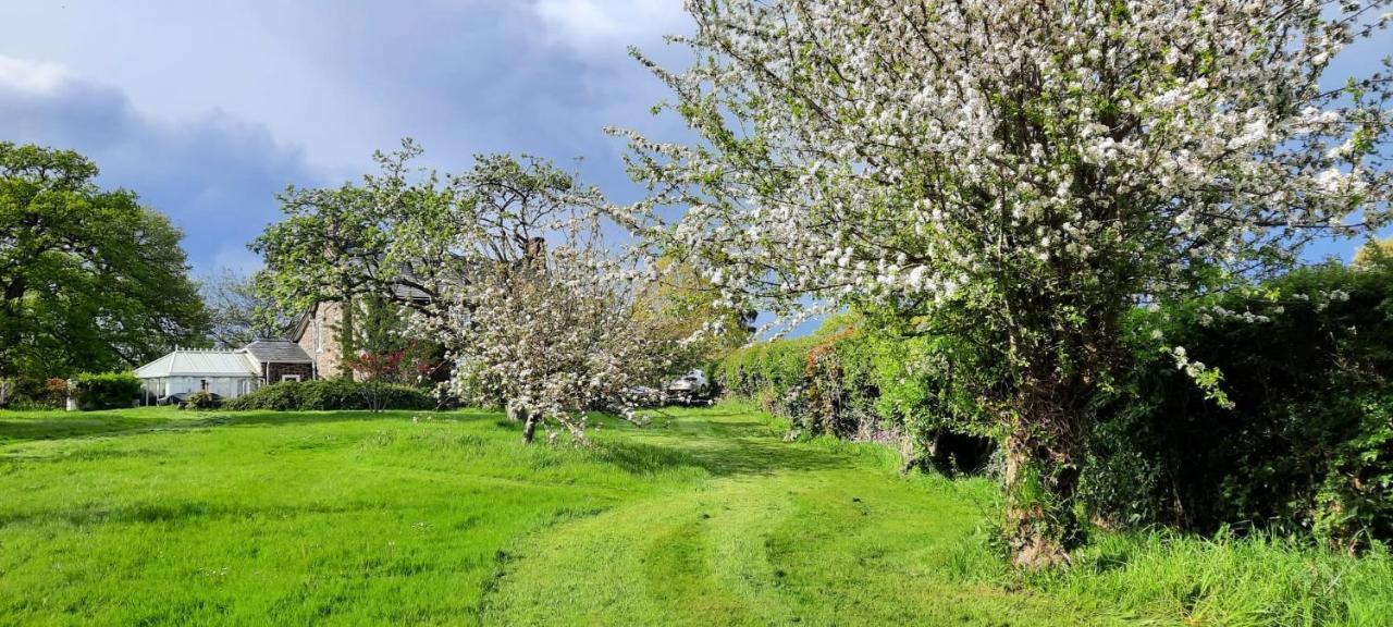 Mid-Wales Farmhouse, Swimming Pool, Tranquil Countryside Views, Sleeps 14 Meifod Ngoại thất bức ảnh